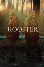 The Rooster